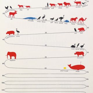 Loading...